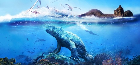 Naturwunder Galapagos - Inseln, die die Welt veränderten