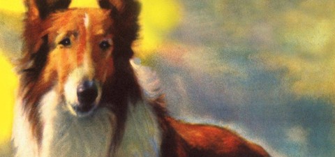 Lassie und die Goldgräber