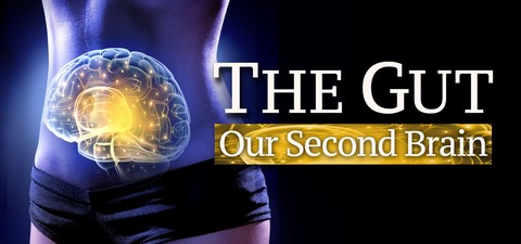 Der kluge Bauch – Unser zweites Gehirn