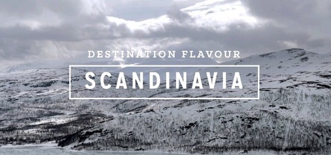 Destination Flavour Scandinavia