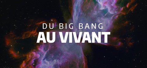 Du Big Bang au Vivant