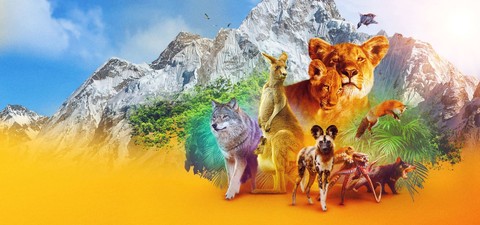 Animal: il meraviglioso regno animale