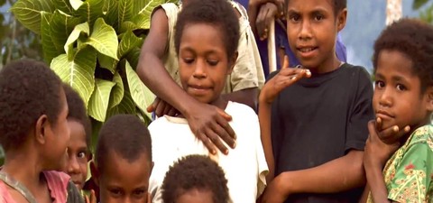 Papua-Neuguinea: Baumkängurus im roten Bereich