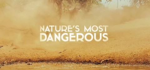 Nature's Most Dangerous