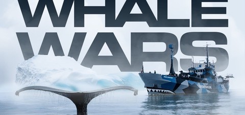 Whale Wars - Krieg den Walfängern!