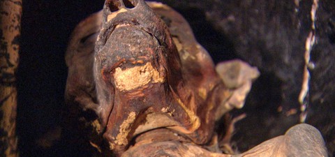 The Mysterious Mummified Dogs of Ancient Egypt