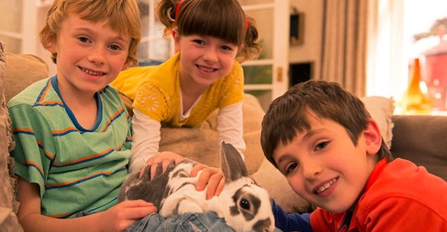 Topsy and Tim - Rotten Tomatoes