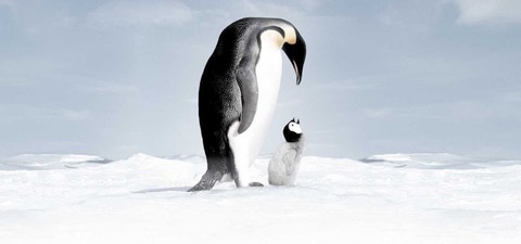 La marcia dei pinguini