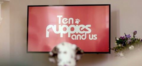 10 Puppies and Us