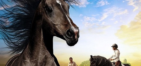 A fekete ló farmja