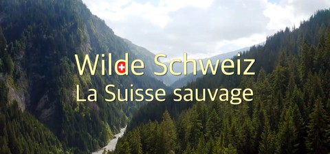 La Suisse sauvage