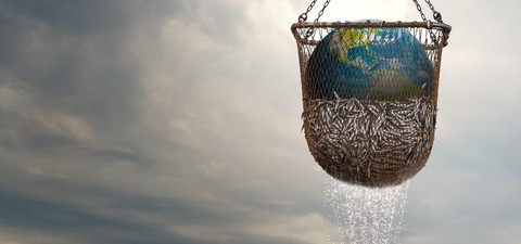 Морской заговор: Тайна устойчивого рыболовства