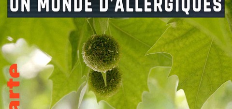 Allergien: Wenn der Körper rebelliert