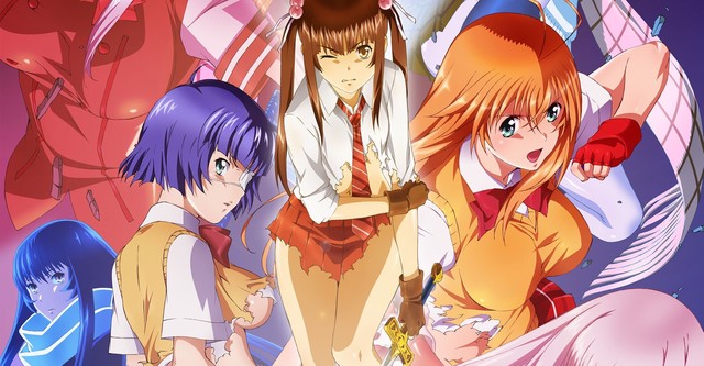 How To Watch Ikki Tousen? A Complete Watch Order Guide