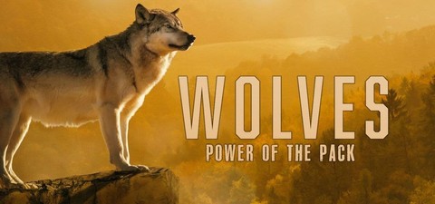 Wolves: Power of the Pack