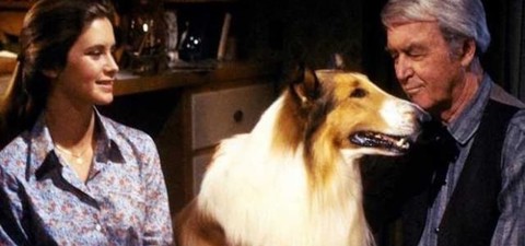 Lassie på rymmen