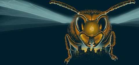 Attack of the Murder Hornets