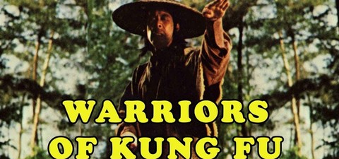Warriors of Kung Fu