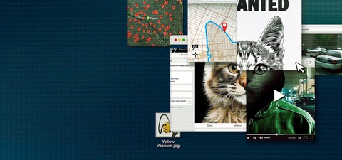 고양이는 건드리지 마라: 인터넷 킬러 사냥