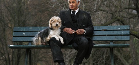 Un homme et son chien