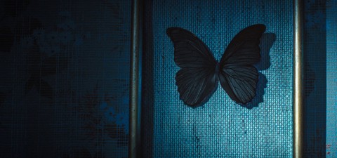 Die schwarzen Schmetterlinge