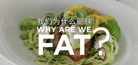 Why Are We Fat?