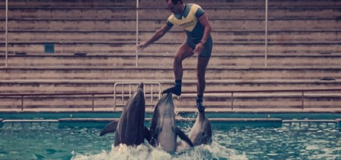 Konec krále delfínů