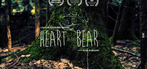 Heart of the Bear
