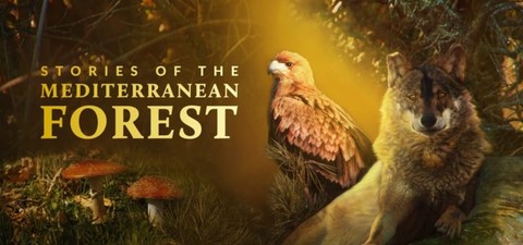 Stories of the Mediterranean Forest