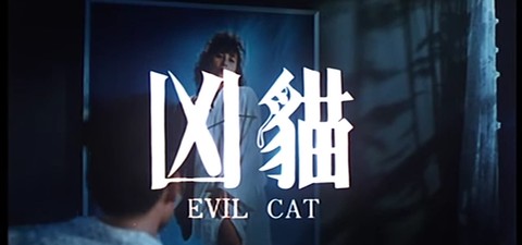 Evil Cat
