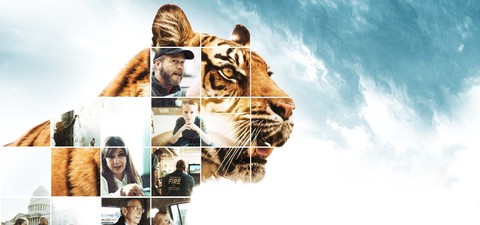 Tiger kings: USA:s illegala rovdjurshandel