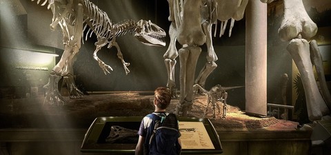 Jurassic Pet - Il Mio Amico Dinosauro