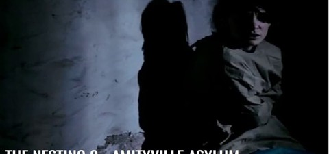 The Nesting 2 - Amityville Asylum