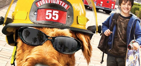Пожарникарско куче