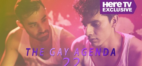 The Gay Agenda 22