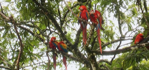 Weltnaturerbe Costa Rica 3D: Guancaste Nationalpark