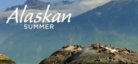 Alaskan Summer