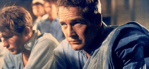 Paul Newman - Der unwiderstehliche Typ