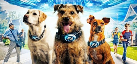 Uzay Köpekleri