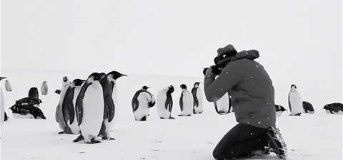 Antarktyda wzywa