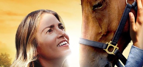 Sunday Horse – Ein Bund fürs Leben