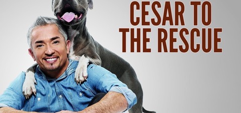 Notruf Hund: Einsatz für Cesar