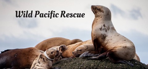 Wild Pacific Rescue