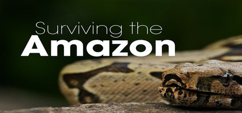 Surviving the Amazon