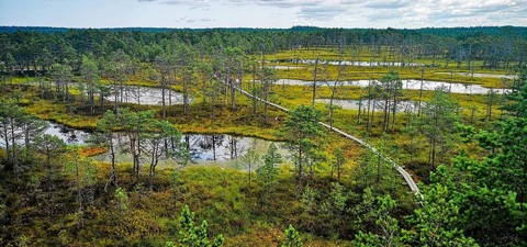 Les parcs nationaux des pays baltes