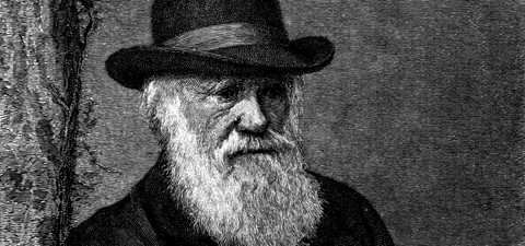 Charles Darwin'in Dehası