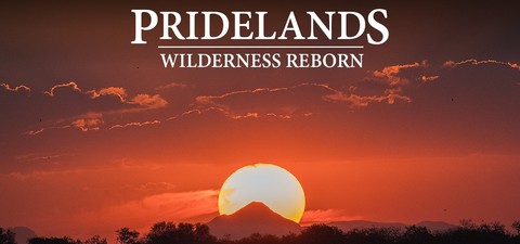 Pridelands: Wilderness Reborn