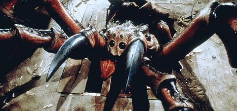 Spiders - Metamorfosi letale