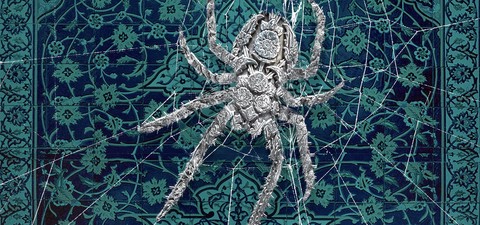 Araña sagrada (Holy Spider)