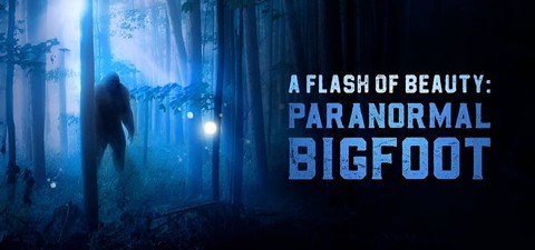A Flash of Beauty: Paranormal Bigfoot